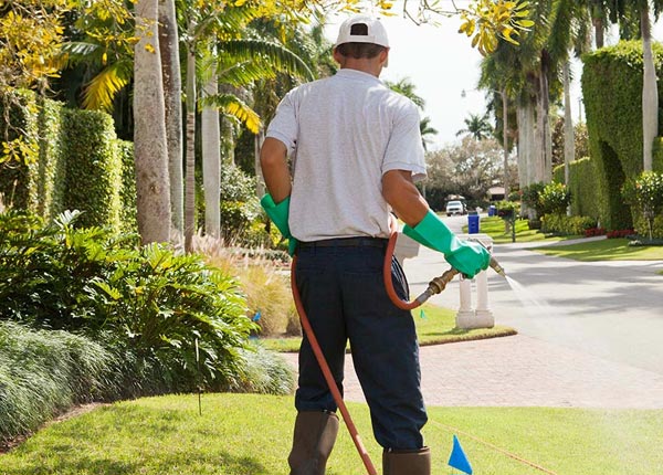About Rochelle TX Pest Control